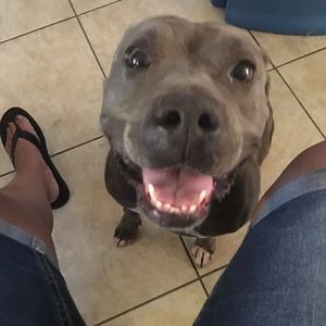 Meet your Posher, Mary